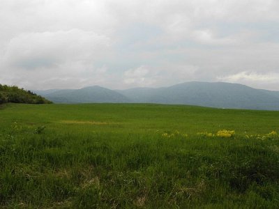tn-cimg6462.jpg