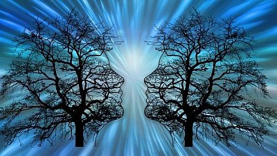 trees-6361892-340.jpg