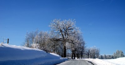 Zamrzlo