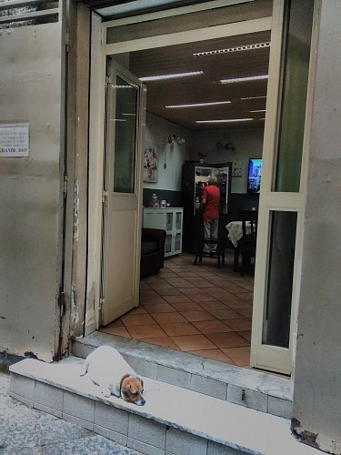 vchod-z-prizemi.jpg