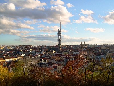 Věž