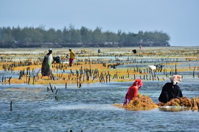 zanzibar - 5.jpg