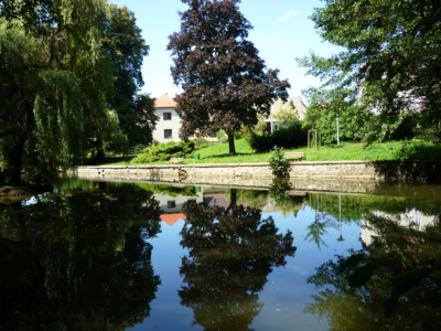 ZRCADLENÍ